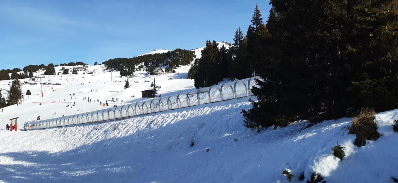 Studio Aux Pieds Des Pistes Roche Beranger Chamrousse Exterior foto